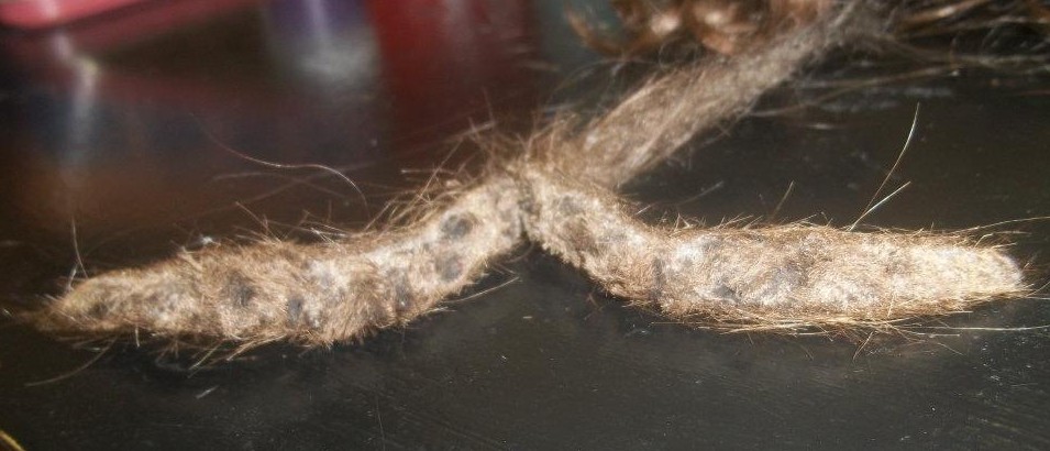 I’ve been told the product I’m using has residue in it, but I don’t think there’s residue in my dreads. How can I tell if I have residue or not?